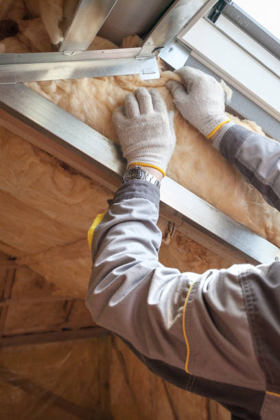 Best Insulation for New Construction  in Goodland, KS